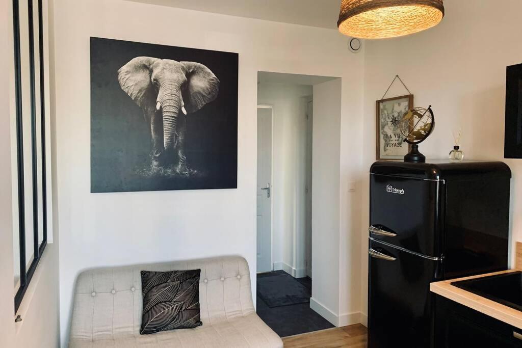 Le Travel, Studio Cosy Aux Pieds De La Gare 雷恩 外观 照片